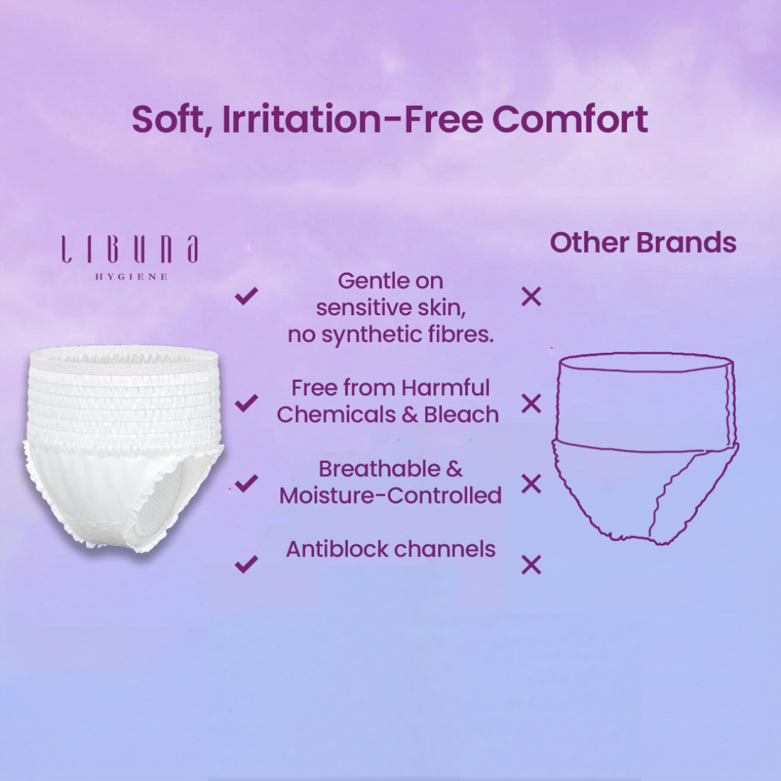 Disposable Period Panty: Heavy Flow Protection (Large) – Libuna Hygiene