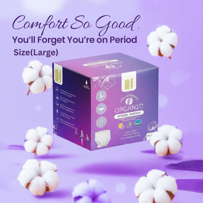 Disposable Period Panty: Heavy Flow Protection (Large)