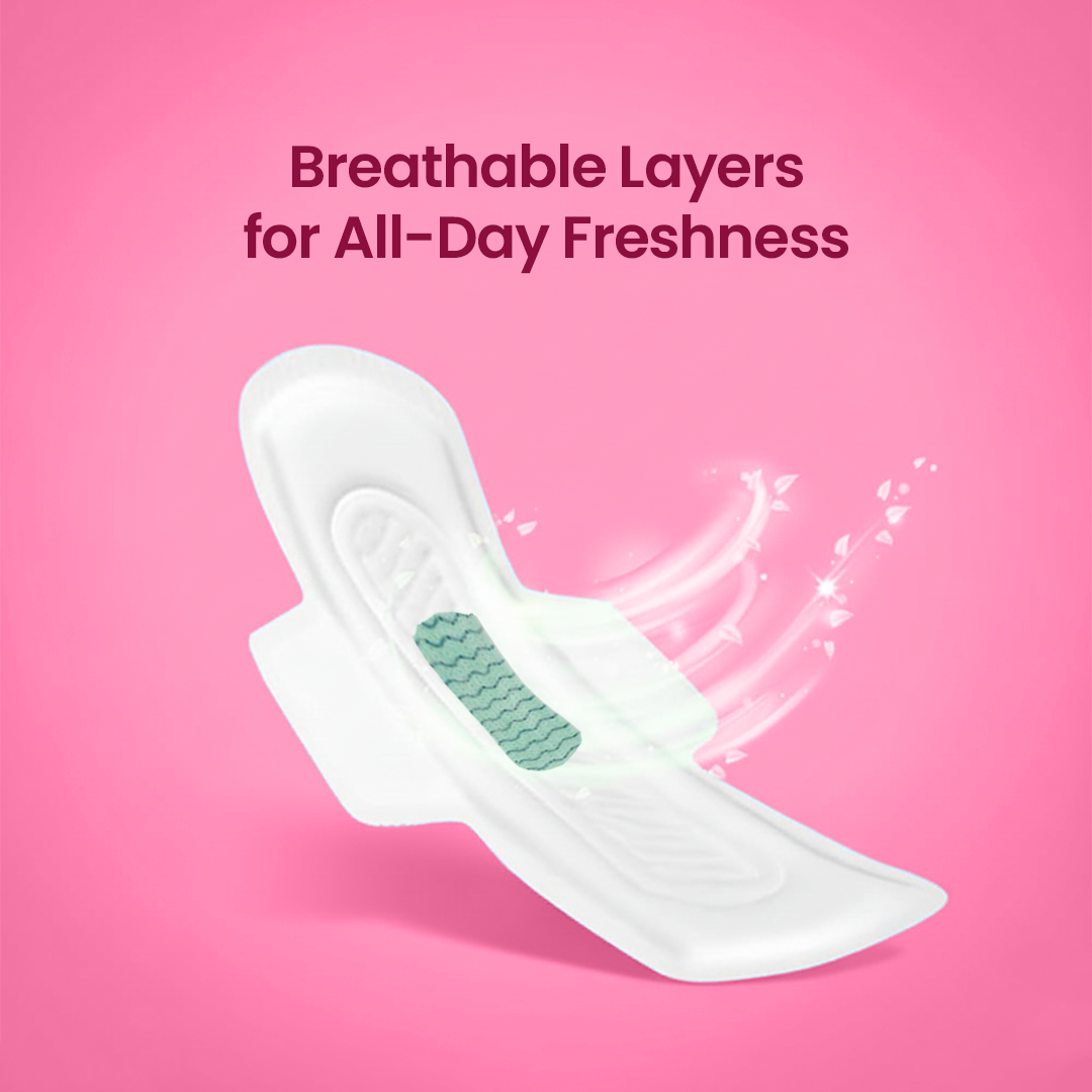 Anion Chip Pro-Shield Pads ( Pack of 32 )